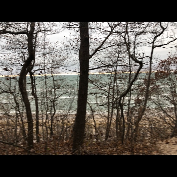 Meet your Posher, Sophie - Picture 1 of 1